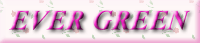 EVER GREENoi[ł